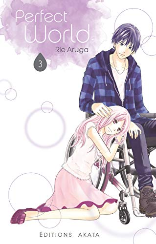 Perfect World - Tome 3